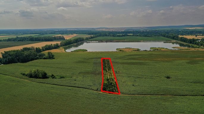 Prodej, Ovocný sad, Zaječí