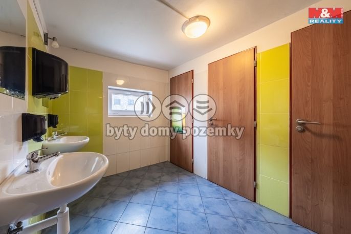 Prodej, Obchodní objekt, Český Brod