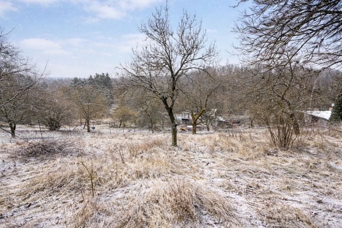 Prodej, Zahrada, Želešice