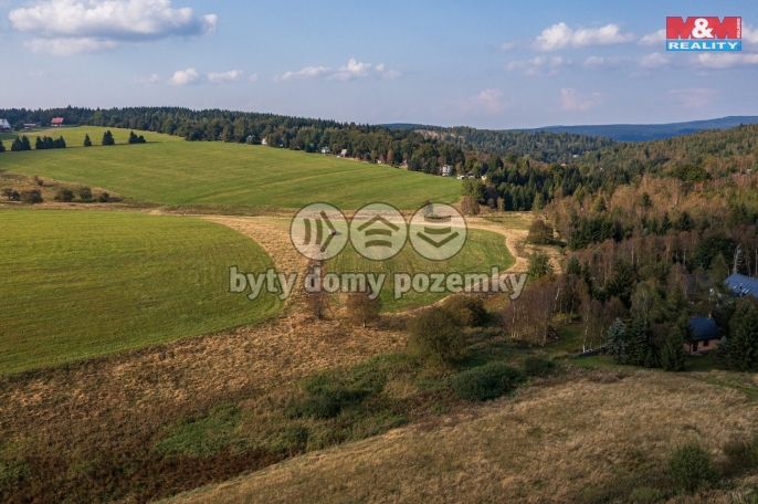 Prodej, Pole, Moldava