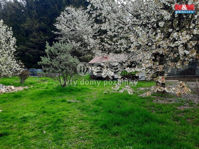 Pronájem, Zahrada, Dešenice