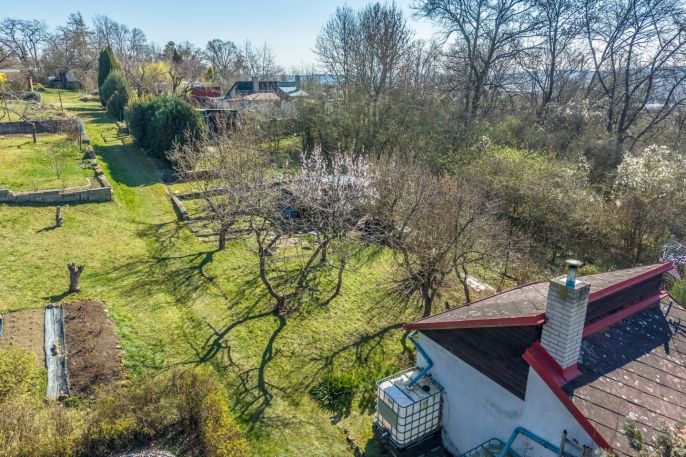 Prodej, Zahrada, Kosmonosy