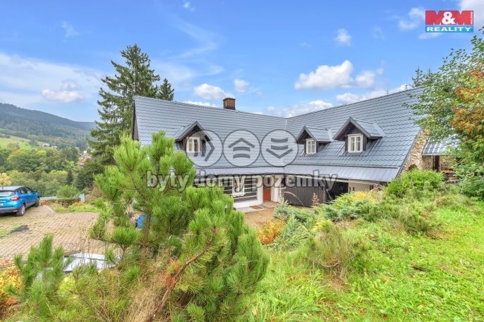 Prodej, Hotel, penzion, Rokytnice nad Jizerou