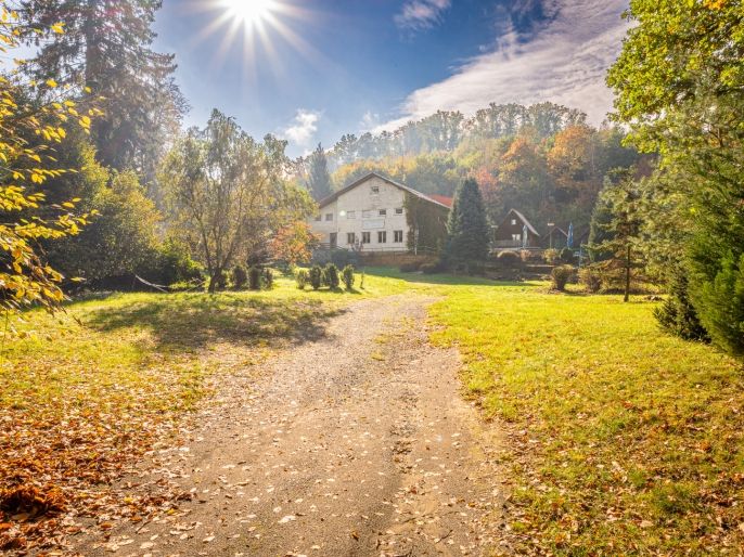 Prodej, Hotel, penzion, Doksy
