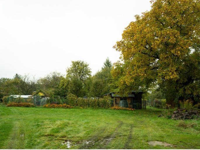 Prodej, Pozemek k bydlení, Zlaté Hory