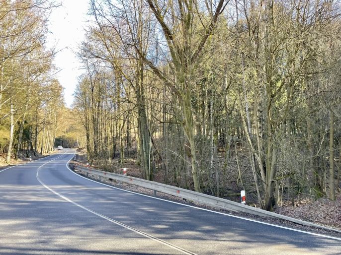 Prodej, Les, Dolní Dobrouč