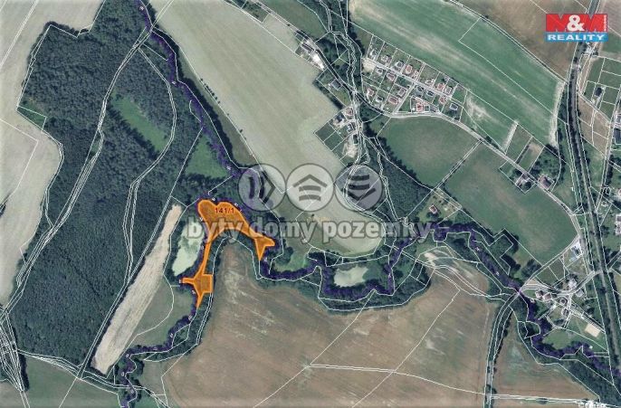 Prodej, Les, Česká Lípa