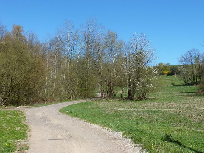 Prodej, Pozemek k bydlení, Brzice