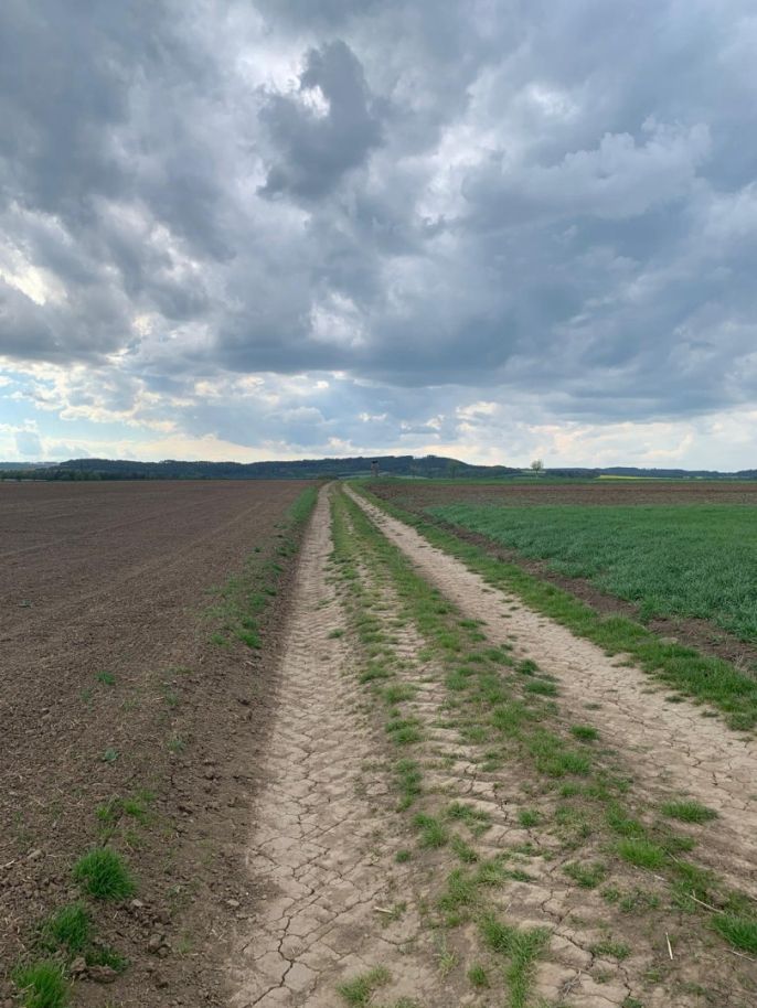 Prodej, Pole, Voděrady