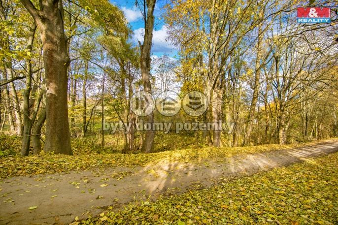 Prodej, Louka, Konstantinovy Lázně