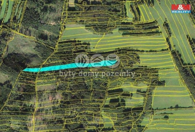 Prodej, Les, Lešná