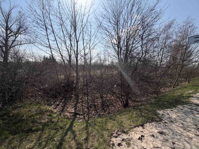 Prodej, Ostatní, Litvínov