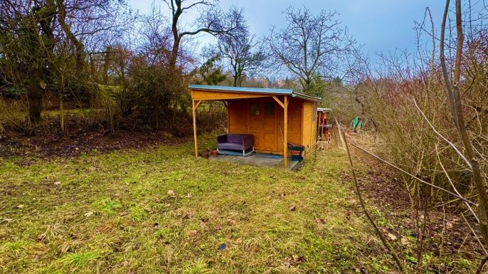 Pronájem, Zahrada, Brno