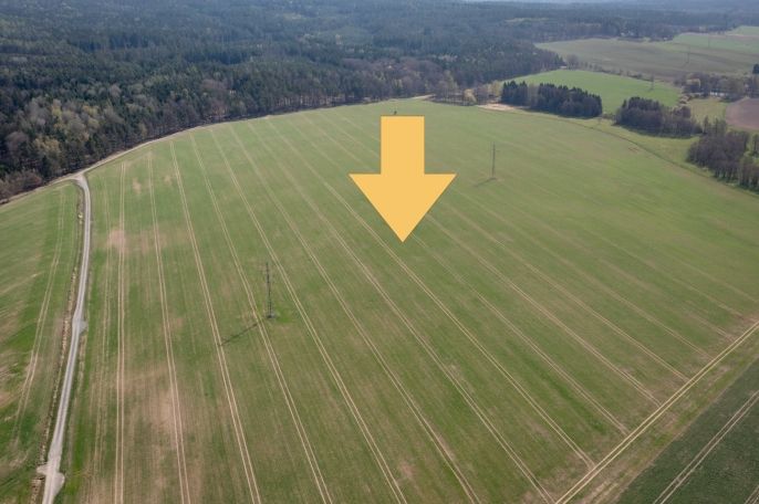 Prodej, Pole, Tymákov