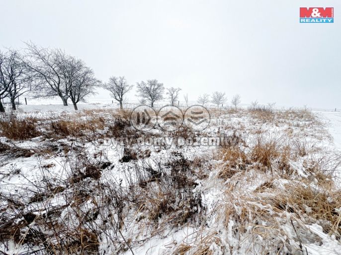 Prodej, Rodinný dům, Vítkov