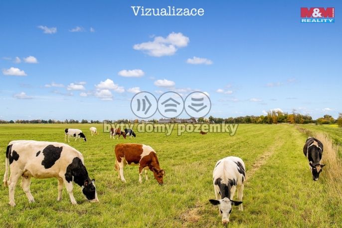 Prodej, Pole, Dolní Roveň