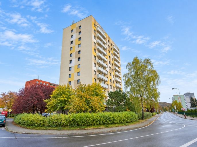 Pronájem, Byt 1+1, Mladá Boleslav