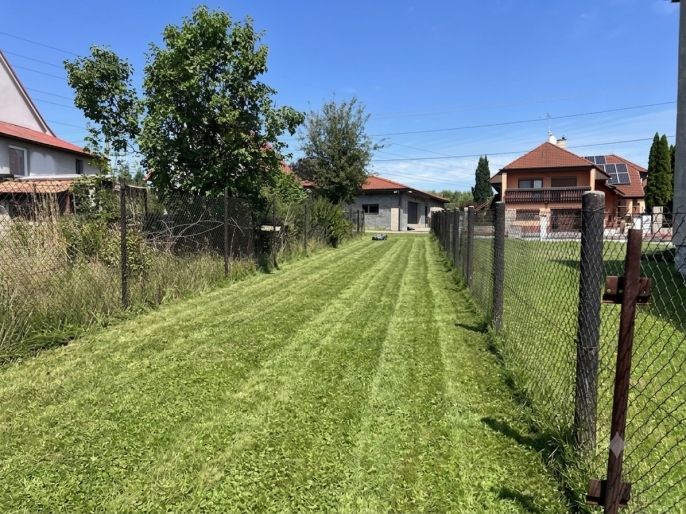 Prodej, Pole, Šenov