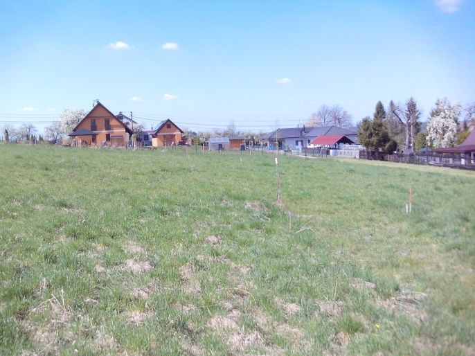 Prodej, Zahrada, Horní Bludovice