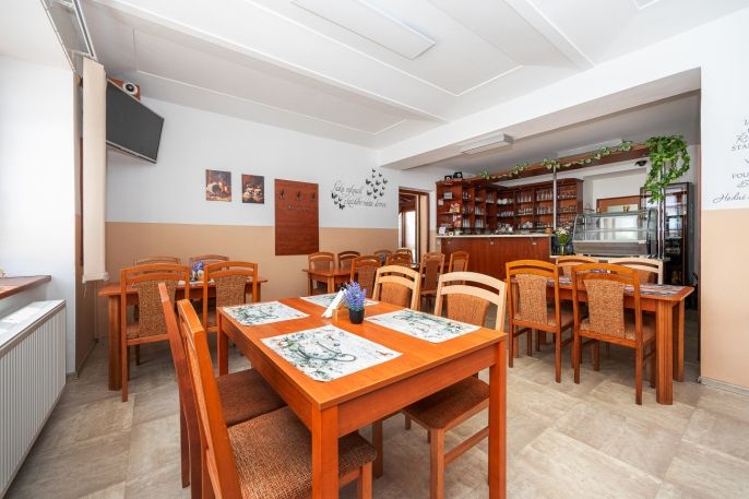 Prodej, Hotel, penzion, Brandýs nad Orlicí