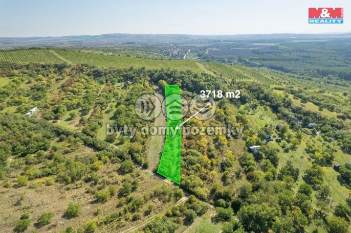 Prodej, Zahrada, Židlochovice