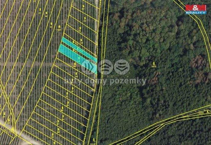 Prodej, Vinice, Nechvalín