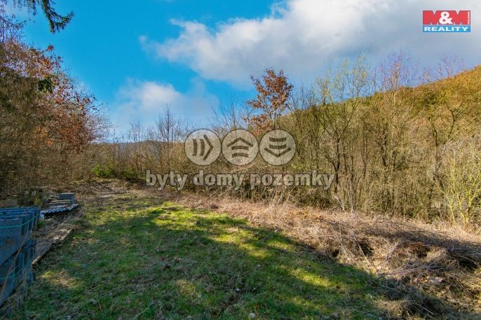 Prodej, Ostatní, Jílové u Prahy