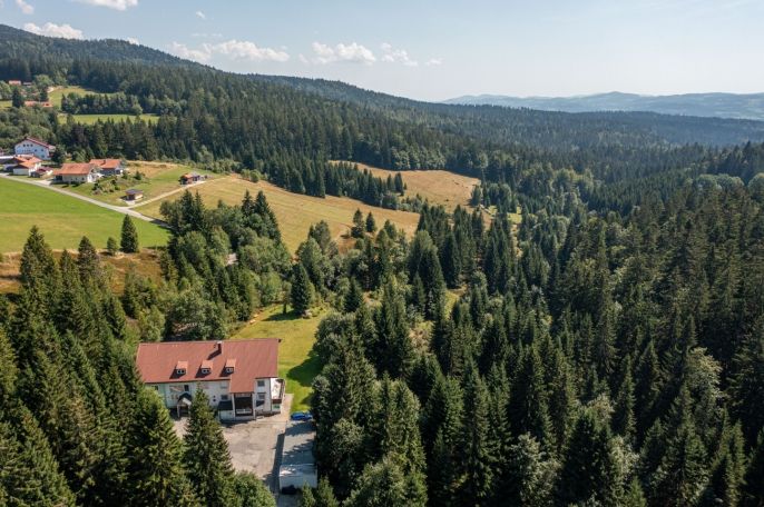 Prodej, Byt 1+kk, Haidmühle