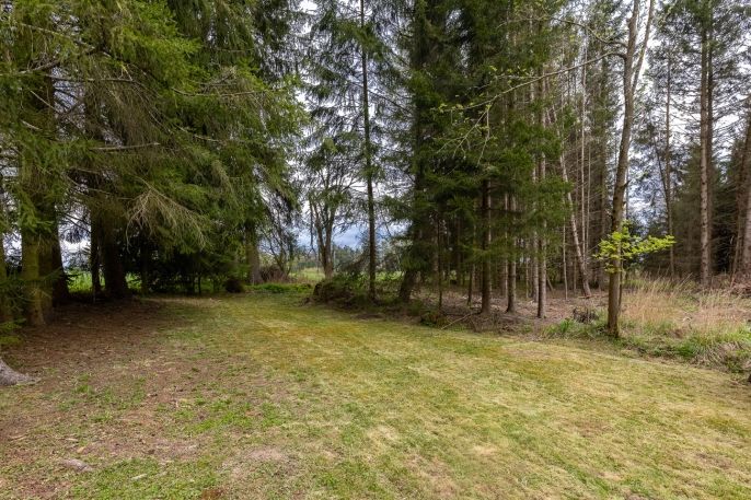 Prodej, Chalupa, Slavíkov