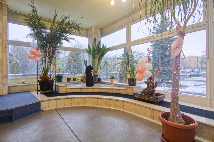 Pronájem, Obchod a služby, Karviná