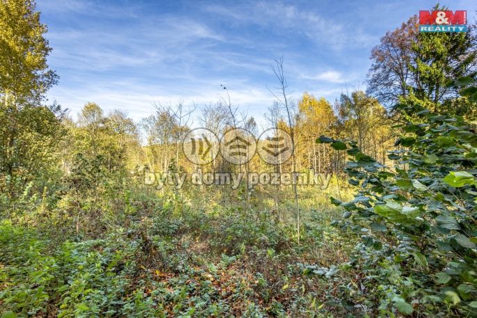 Prodej, Pozemek k bydlení, Jiříkov