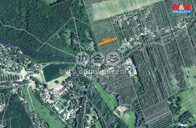 Prodej, Les, Kněždub