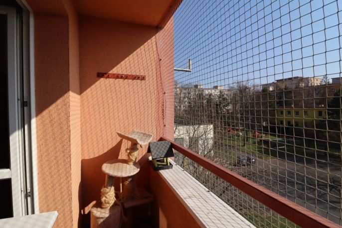 Prodej, Byt 3+1, Most