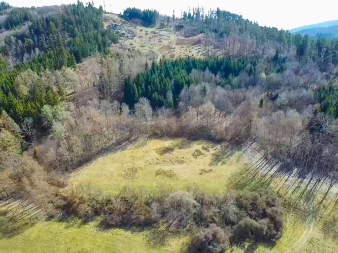 Prodej, Louka, Sušice