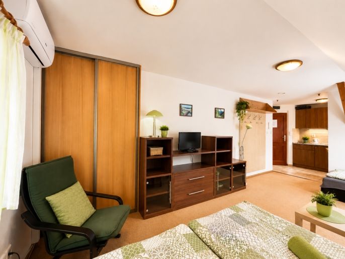 Prodej, Hotel, penzion, Nová Pec