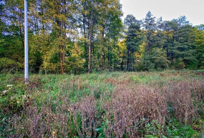 Prodej, Louka, Biskupice