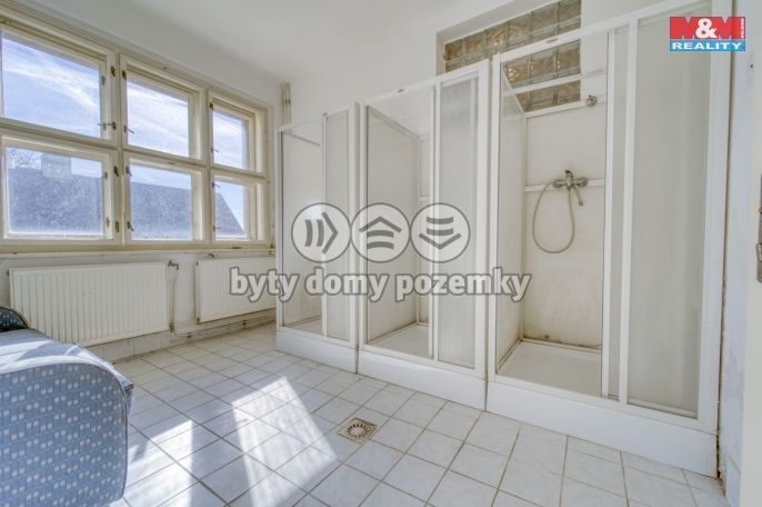 Prodej, Rodinný dům, Břasy