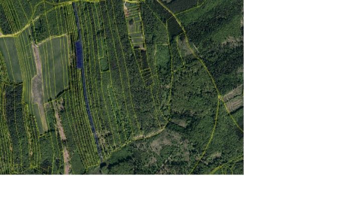 Prodej, Les, Luhačovice