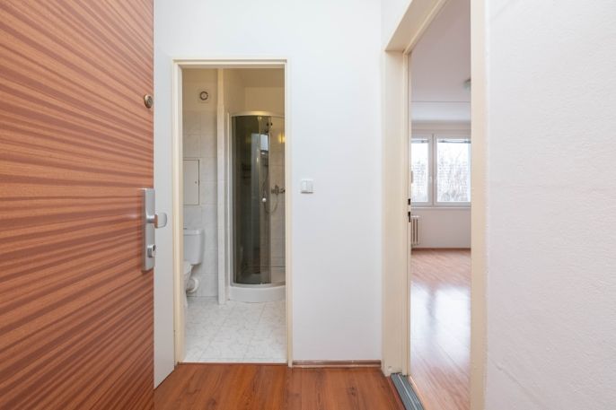 Pronájem, Byt 1+kk, Praha