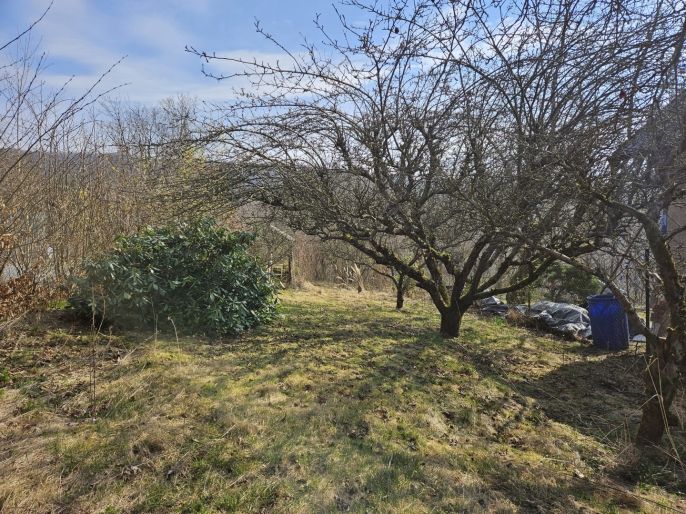 Prodej, Zahrada, Šternberk