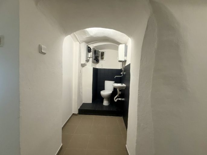 Pronájem, Obchod a služby, Slaný