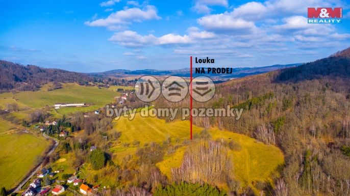 Prodej, Louka, Žandov