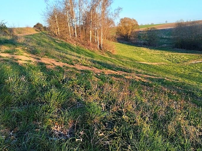 Prodej, Pozemek k bydlení, Svijanský Újezd