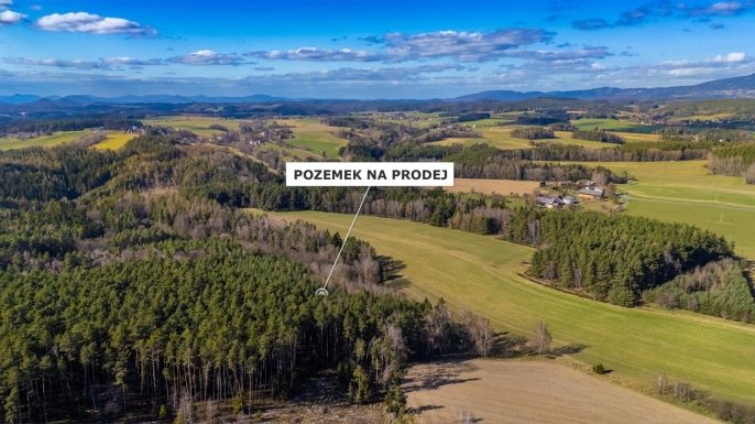 Prodej, Les, Všelibice