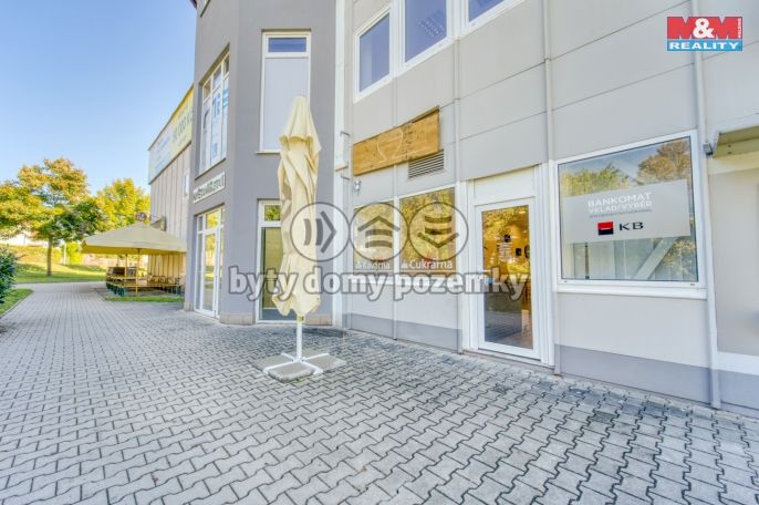 Pronájem, Obchodní objekt, Třemošná