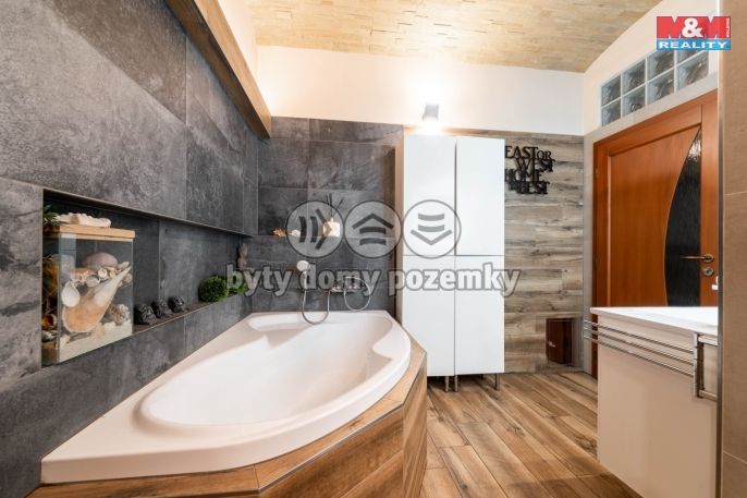 Prodej, Obchodní objekt, Bechyně