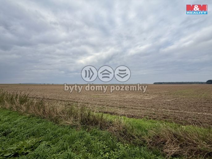 Prodej, Pole, Bohuslavice