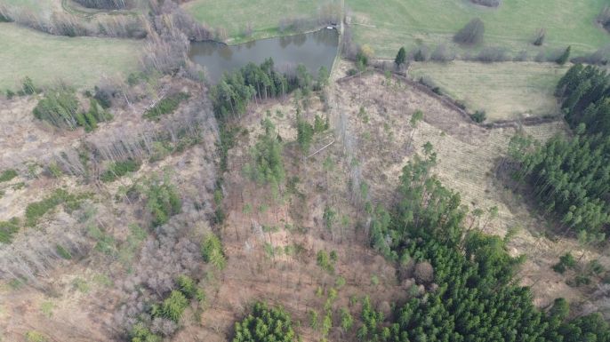 Prodej, Les, Mrákotín