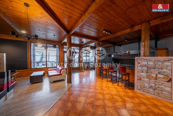 Pronájem, Restaurace, stravování, Olomouc