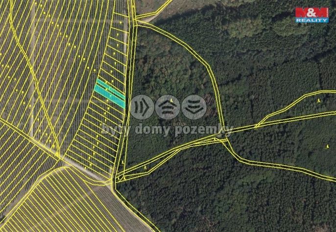 Prodej, Vinice, Nechvalín